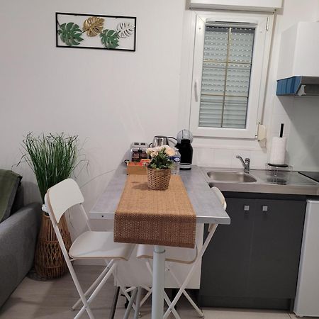 Cocooning House 204 Suite Green- Superb Studio Aeroport Paris Roissy Cdg, Parc Asterix, Chateau De Chantilly, Stade De France Survilliers Luaran gambar