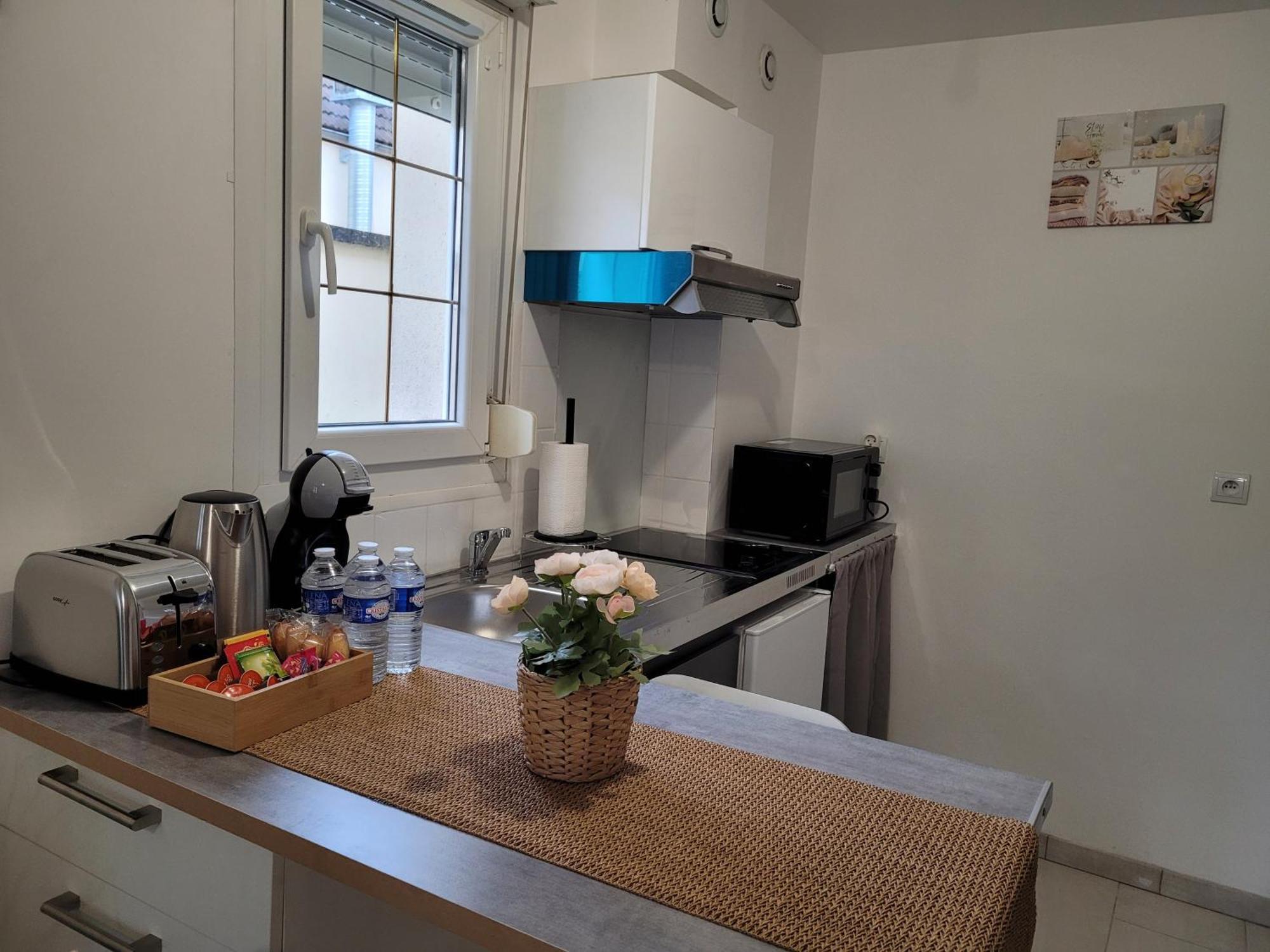 Cocooning House 204 Suite Green- Superb Studio Aeroport Paris Roissy Cdg, Parc Asterix, Chateau De Chantilly, Stade De France Survilliers Luaran gambar